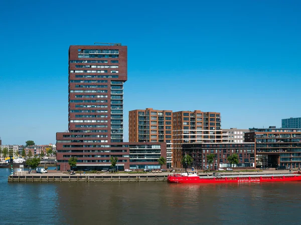 Rotterdam Hollanda Mayıs 2020 Yolcu Gemisinin Kargo Limanı Altyapısı — Stok fotoğraf