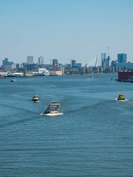 オランダのロッテルダム 2020年5月7日 クルーズ船からの貨物ポートビルインフラストラクチャのビュー — ストック写真