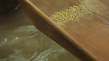 Altın çıkış tepsisi