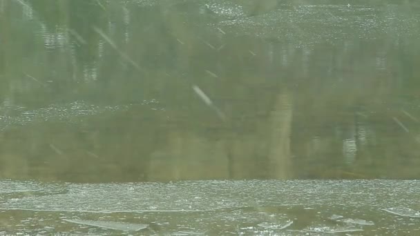 开始冰冷的河里 — 图库视频影像