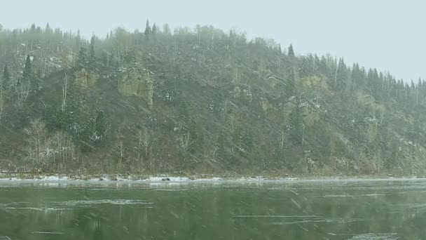 La primera nieve en el bosque de otoño — Vídeos de Stock