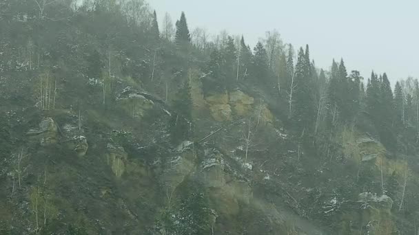 Tunga snöfall i skogen — Stockvideo