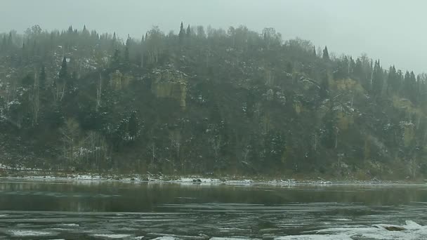 La première neige de la forêt d'automne — Video