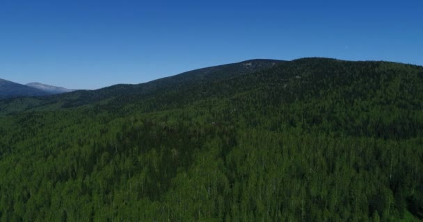 Montañas cubiertas de bosques — Vídeo de stock