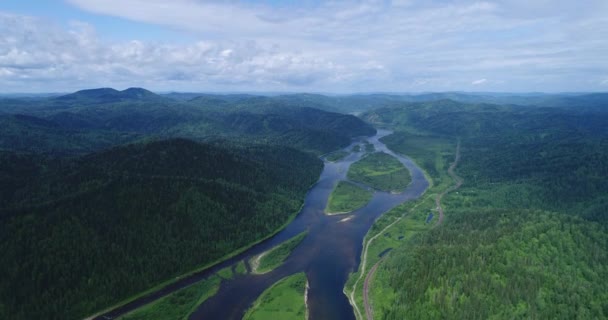 Vol au-dessus de la rivière forestière Séquence Vidéo