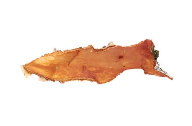 Huş kabuğu beyaz izole arka planda