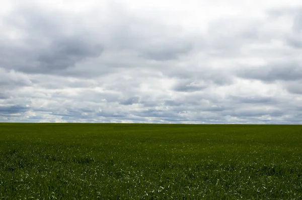 Cielo nuvoloso prima della pioggia con un campo verde — Foto Stock