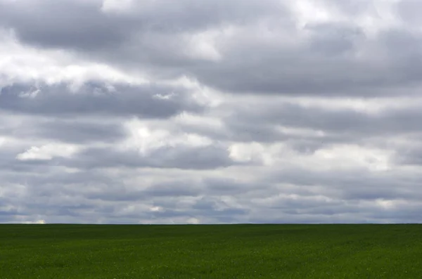 Cielo nuvoloso prima della pioggia con un campo verde — Foto Stock