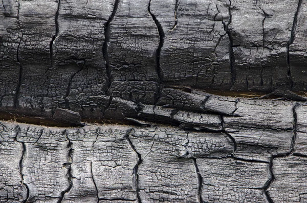 Texture bois brûlé. Panneau carbonisé — Photo
