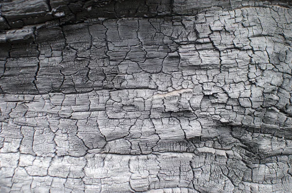 Texture bois brûlé. Panneau carbonisé — Photo
