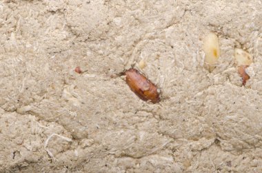 Arka plan helva. Doğu tatlılık.