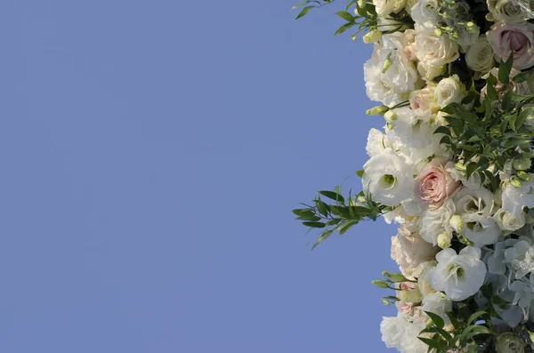 Arco de boda de rosas blancas Imagen De Stock