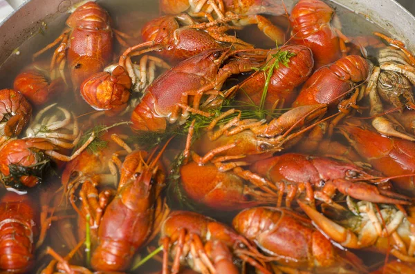 Cangrejos de río cocidos en una sartén con eneldo —  Fotos de Stock