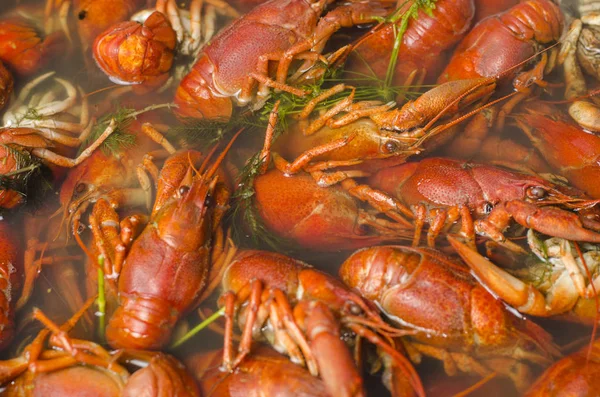 Cangrejos de río cocidos en una sartén con eneldo —  Fotos de Stock