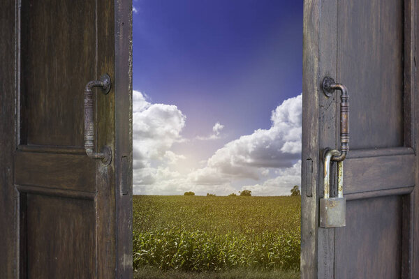 old wood window open to corn farm and blue sky cloudy
