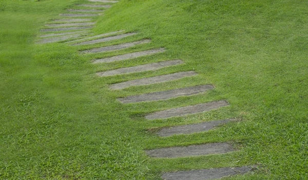 Walkway in green yard field — стоковое фото