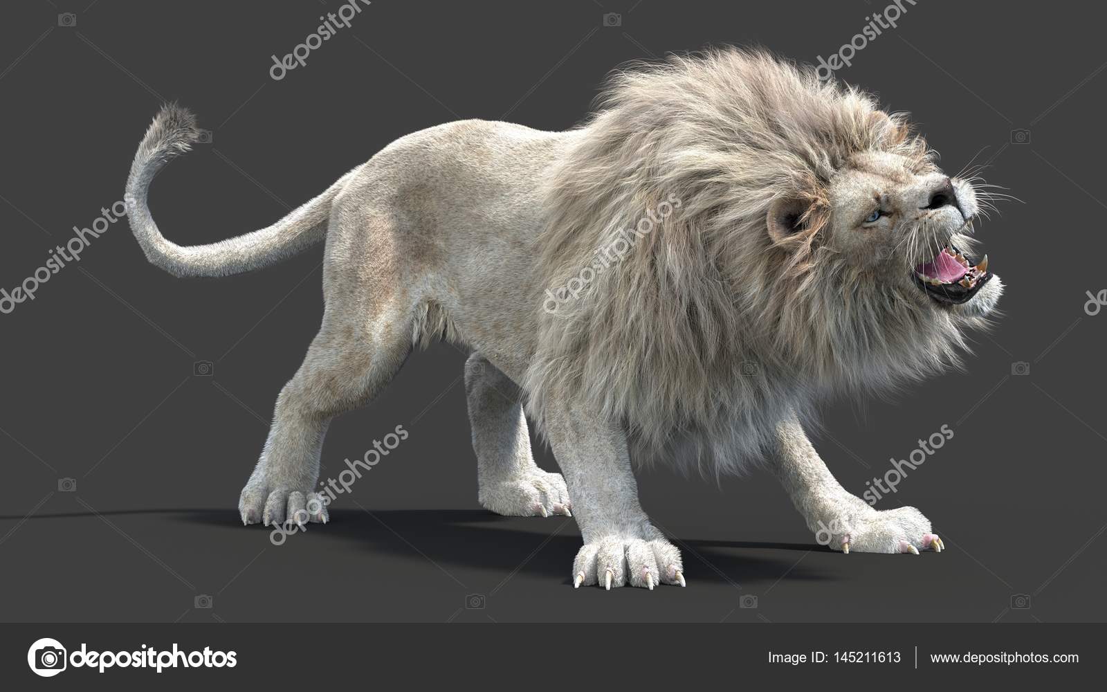 White Lion 3d Stock Photo By C Thepromax Com Gmail Com