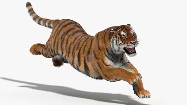 Tiger Amur (3D) — Fotografia de Stock