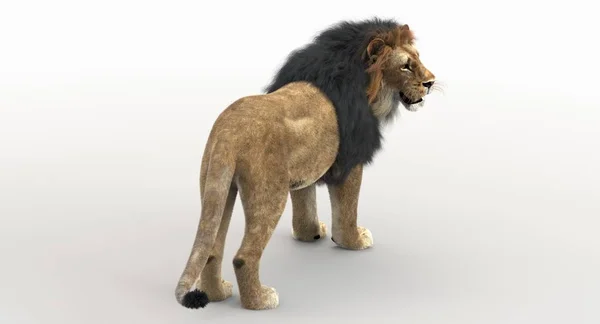 Löwe (3D-Darstellung)) — Stockfoto