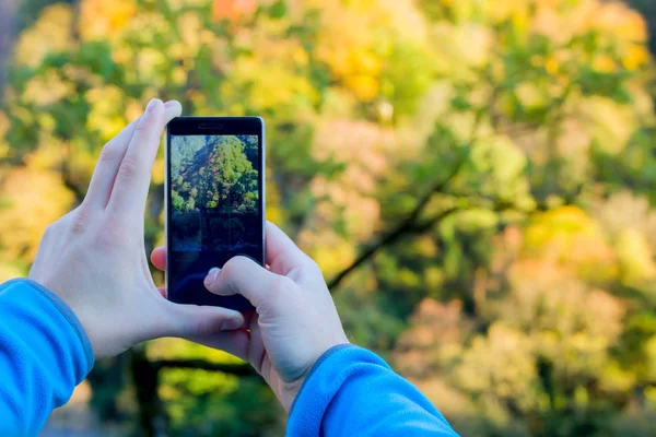 Siyah adamın telefonunda yapım sonbahar manzara fotoğrafı eller