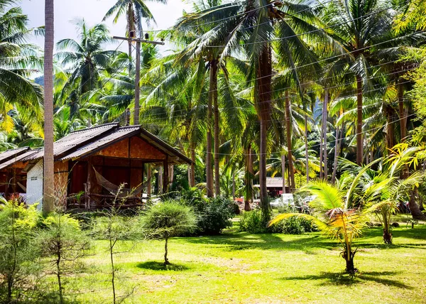Wooden house in tropical garden. — Stock Photo, Image