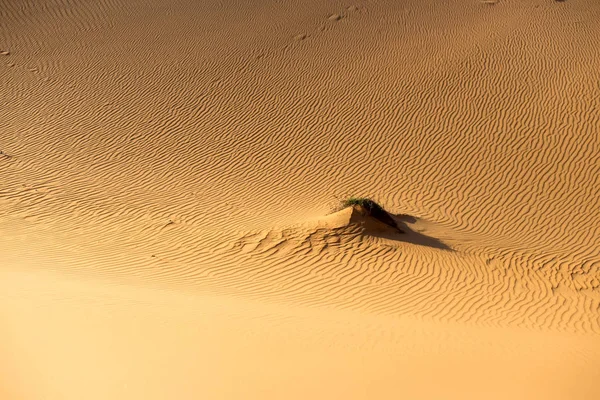 Маленький песчаный холм в жаркой пустыне с песчаными рябями — стоковое фото