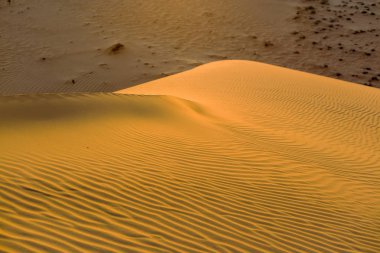 Sarı kumlu dalgalı dunes doku