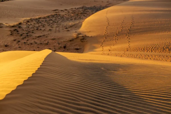 Texture jaune des dunes ondulées sablonneuses — Photo