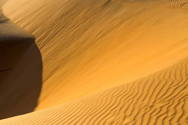 Gula sandstranden vågiga sanddyner i öknen på dagtid — Stockfoto