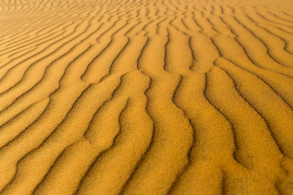 Gelben sandigen welligen Dünen Textur — Stockfoto