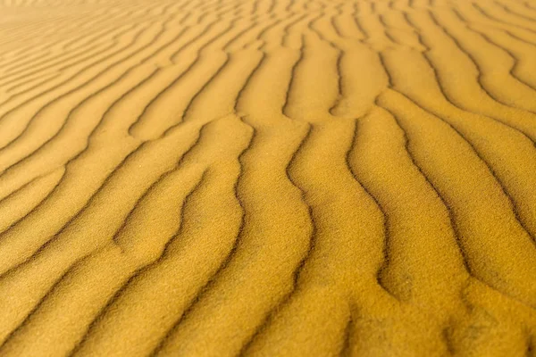 Gula sandstranden vågiga sanddyner textur — Stockfoto