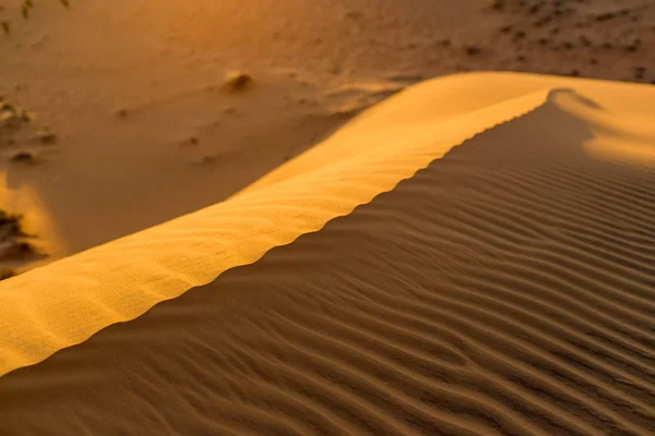 Gula sandstranden vågiga sanddyner textur — Stockfoto