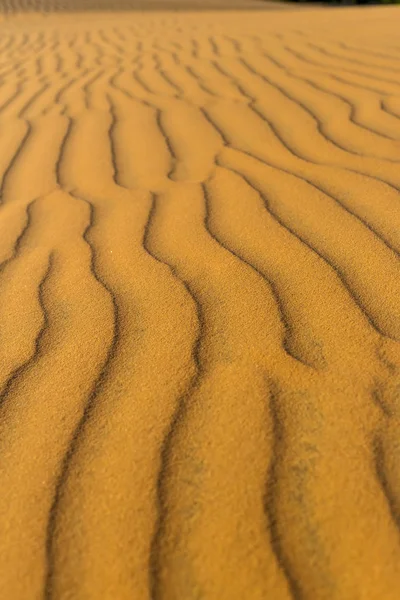 Gelben sandigen welligen Dünen Textur — Stockfoto