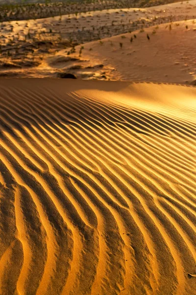 Texture jaune des dunes ondulées sablonneuses — Photo