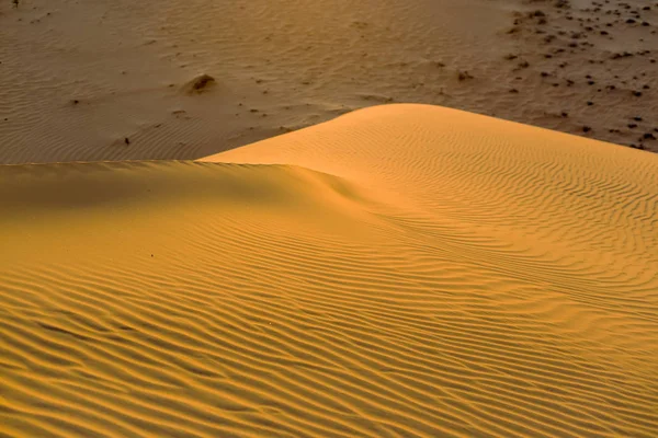 Texture jaune des dunes ondulées sablonneuses — Photo