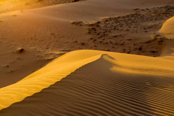 Textura de dunas onduladas de arena amarilla — Foto de Stock