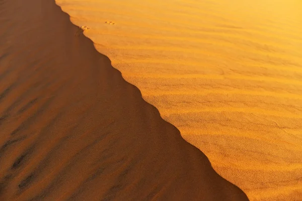 Gula sandstranden vågiga sanddyner textur — Stockfoto