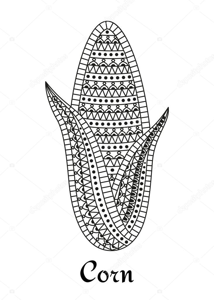 Creative stylized corn isolated on the white, vector illustration