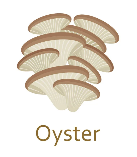 Icône plate de champignon comestible. Huître. Illustration vectorielle . — Image vectorielle