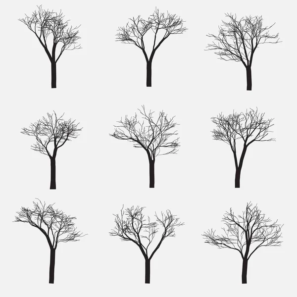 Conjunto de silueta de árbol con ramas desnudas, ilustración vectorial — Vector de stock