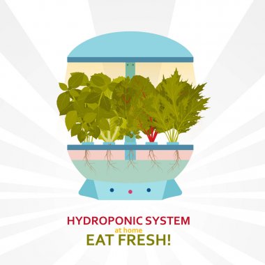Kapalı Bahçe için Hydroponic sistemi