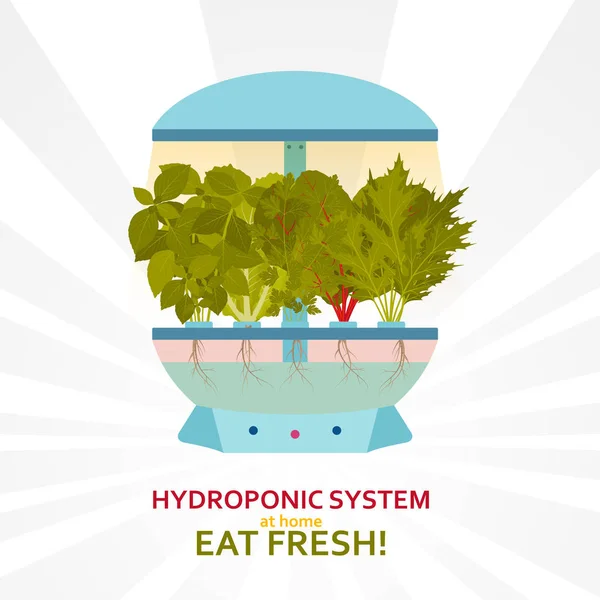 Hydrokultur system för inomhus trädgårdsskötsel — Stock vektor