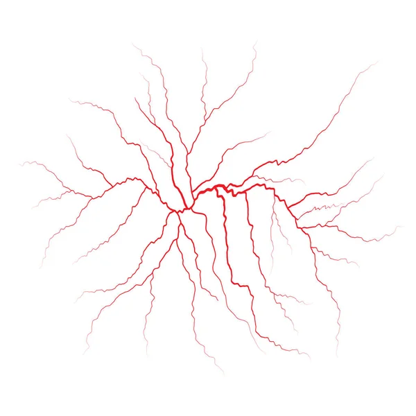 Красные вены, кровеносные сосуды и артерии. Векторная иллюстрация — стоковый вектор