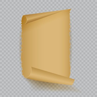 Boş gerçekçi parça parşömen kağıt. Vektör çizim