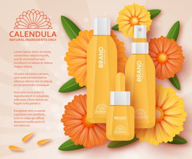 Calendula kozmetik şablonu. Vektör çizim.