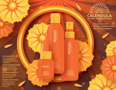 Calendula kozmetik şablonu. Vektör çizim.