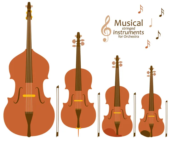 Instrumentos musicales de cuerda para orquesta — Vector de stock