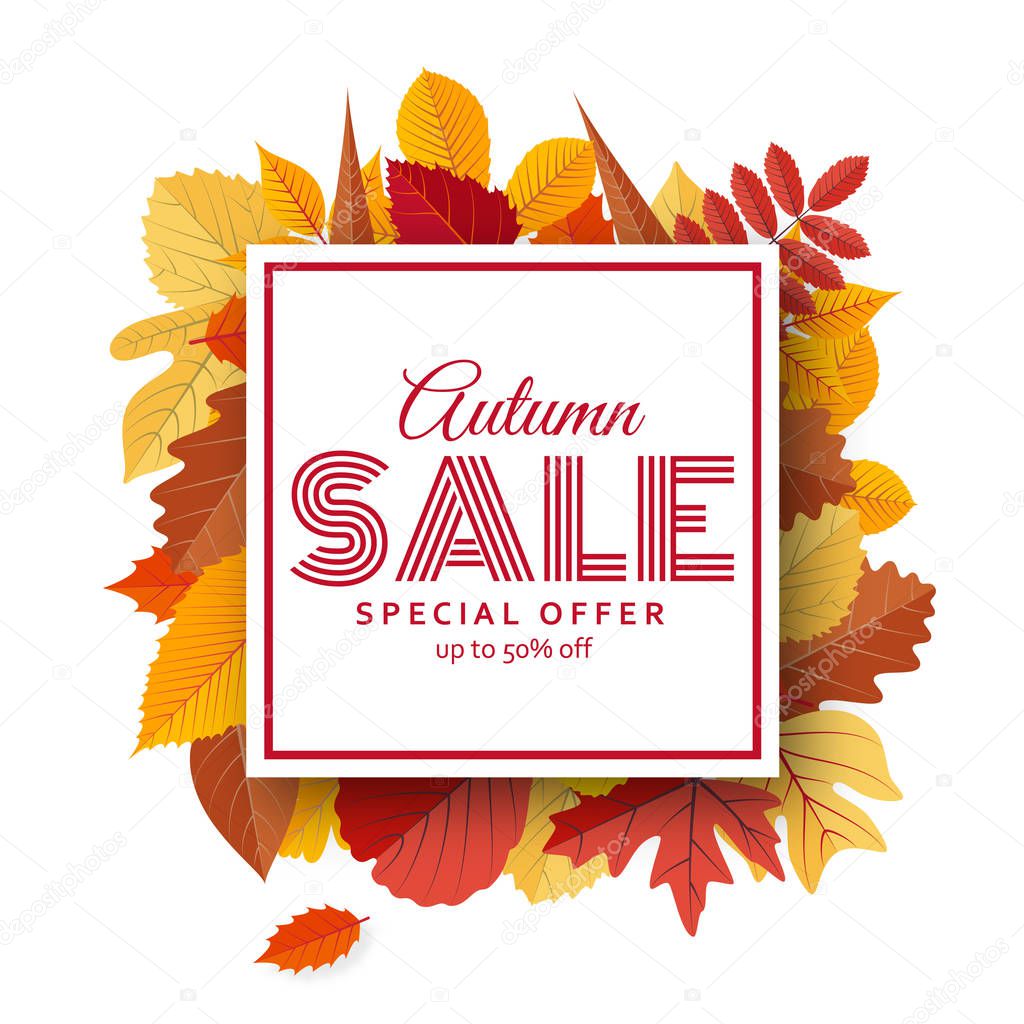 Autumn sale background template with bright leaves