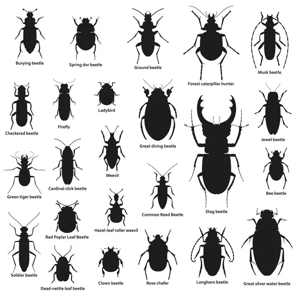 Conjunto de insectos silueta aislado en el blanco — Vector de stock