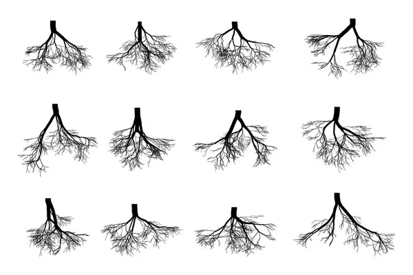 Las raíces del árbol se establecen aisladas sobre fondo blanco. Imagen negra de raíces subterráneas, parte del cuerpo de una planta crece hacia abajo en el suelo. ilustración de dibujos animados de estilo plano vectorial — Vector de stock